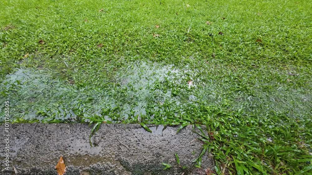 Rainwater flows from the eaves of the house onto the grass. Rainwater flows from the eaves of the house onto the grass.