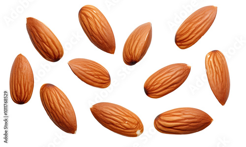 Wallpaper Mural Almonds on white background Torontodigital.ca