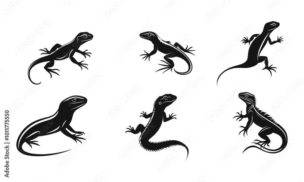 House gecko silhouette vector image
House gecko silhouette vector image