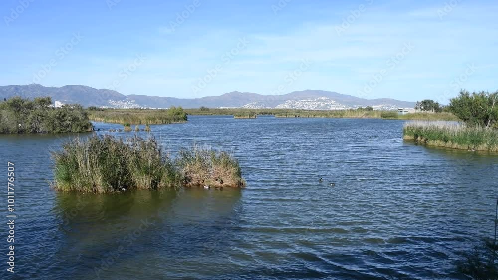 timelapse Aiguamolls de l'Emporda Natural Park is the most important wetland area in Catalonia girona spain timelapse Aiguamolls de l'Emporda Natural Park is the most important wetland area in Catalonia girona spain