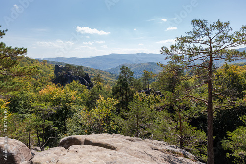 Rocky ledges of sandstone in forest with pines on tops