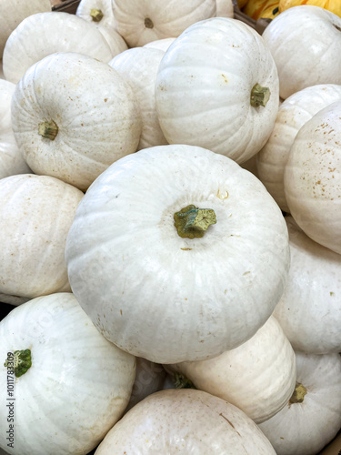 A group of white pumpkins close up, background 