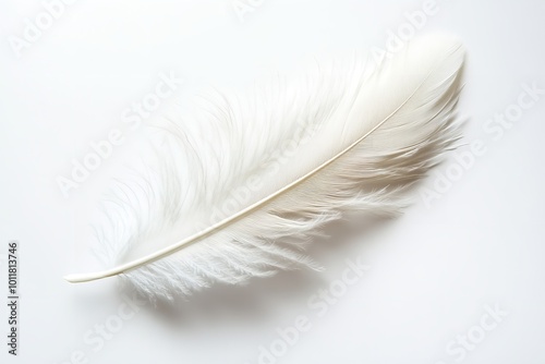 On a white backdrop, a white feather isolated. Generative Ai