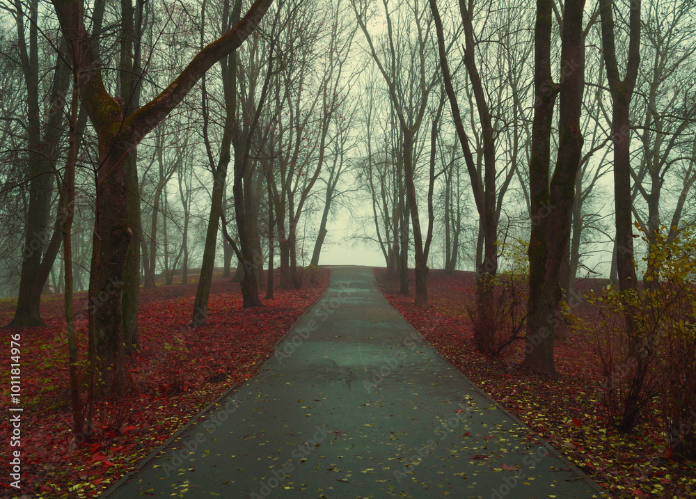 Obraz premium Halloween background with dark spooky autumn alley. Foggy autumn park alley with bare trees and dry fallen orange autumn leaves. Mysterious Halloween autumn landscape scene