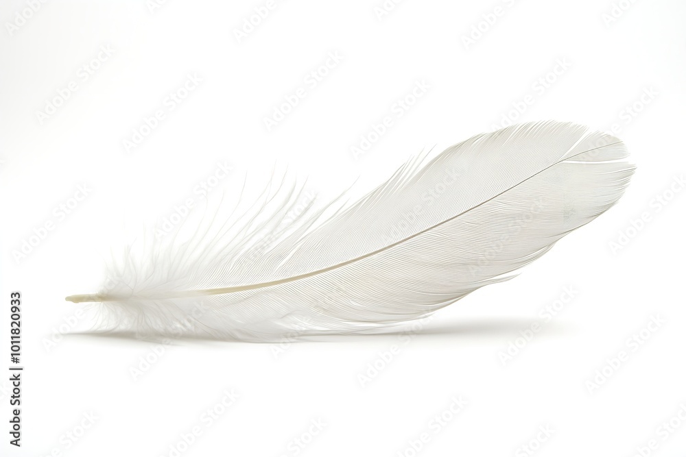 Obraz premium On a white backdrop, a white feather isolated. Generative Ai