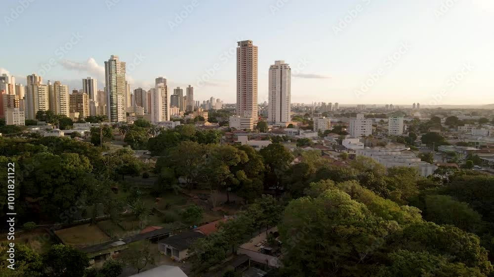 GOIÂNIA ÁRVORES GOIÂNIA ÁRVORES