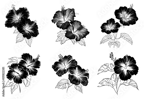 Vector hibiscus flowers. Black-and-white solution. Drawn manually.The design is suitable for use in decoration, tattoo, textiles, invitations and promotional projects.
