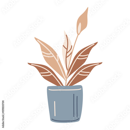 Spathiphyllum is a homemade flower in a pot. Vector illustration isolated on a white background for postcards, decor, print