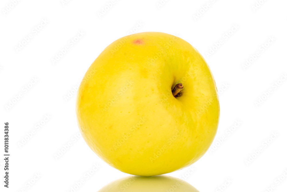 One bright yellow ripe apple, macro, isolated on white background. One bright yellow ripe apple, macro, isolated on white background.