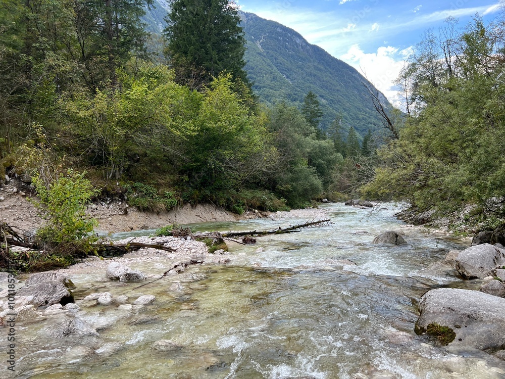 The Lepenjica stream in the area of Šunik's water grove or the Lepenca stream in the alpine valley of Lepena (Bovec, Slovenia) - Der Bach Lepenjica im Bereich des Wasserhains von Šunik (Slowenien) The Lepenjica stream in the area of Šunik's water grove or the Lepenca stream in the alpine valley of Lepena (Bovec, Slovenia) - Der Bach Lepenjica im Bereich des Wasserhains von Šunik (Slowenien)