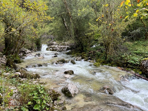 The Lepenjica stream in the area of ​​Šunik's water grove or the Lepenca stream in the alpine valley of Lepena (Bovec, Slovenia) - Der Bach Lepenjica im Bereich des Wasserhains von Šunik (Slowenien) photo