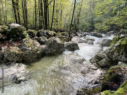 The Lepenjica stream in the area of ​​Šunik's water grove or the Lepenca stream in the alpine valley of Lepena (Bovec, Slovenia) - Der Bach Lepenjica im Bereich des Wasserhains von Šunik (Slowenien) photo