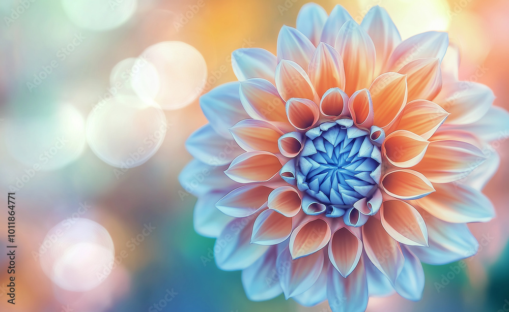 Obraz premium A serene lotus flower blooming with soft sunlight and a bokeh background. 