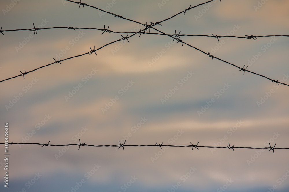 Photo with barbed wire as the symbol of the prison or the border fence. Photo with barbed wire as the symbol of the prison or the border fence.