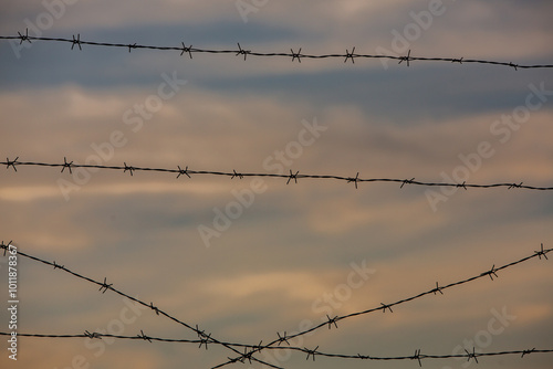 Photo with barbed wire as the symbol of the prison or the border fence.