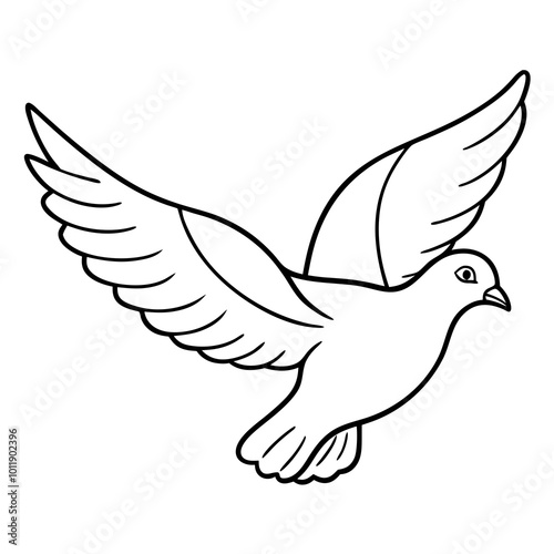 white dove flying