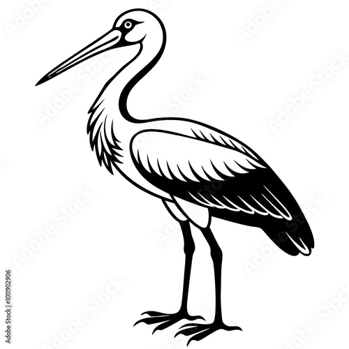 white stork on a white photo