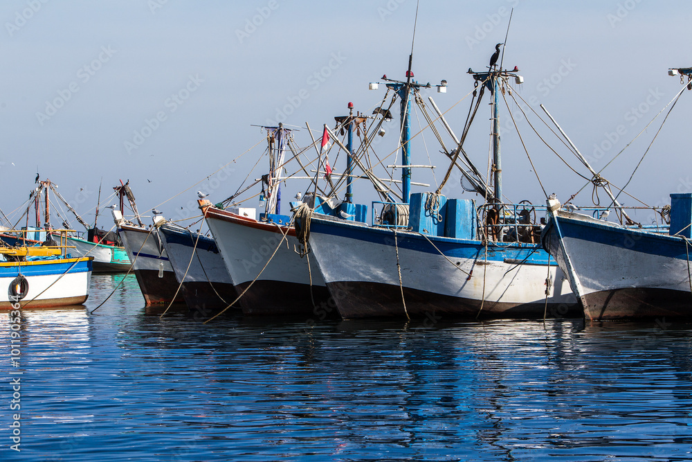 Fishing boats at Paracas National Reserve Ica Peru Fishing boats at Paracas National Reserve Ica Peru