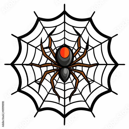 Spider web vector on a white background. the spider