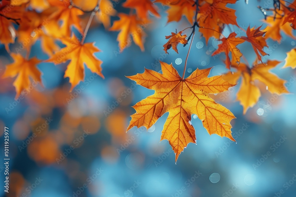 Vibrant orange autumn leaves in park creating a beautiful natural background scene Vibrant orange autumn leaves in park creating a beautiful natural background scene