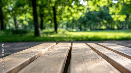 A wooden bench placed in a beautiful park with rich greenery, receiving soft sunlight, forming a peaceful and inviting spot in the vastness of the outdoors.