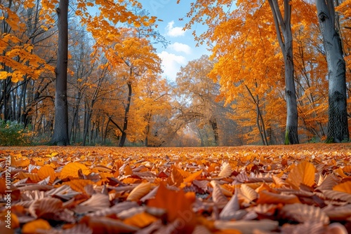 Wallpaper Mural Vibrant orange autumn leaves in a park  a beautiful natural background for fall season Torontodigital.ca