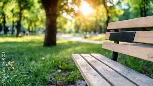 A sunlit wooden park bench is set in a lush green environment, evoking feelings of peace and tranquility in a beautiful, serene natural setting. photo