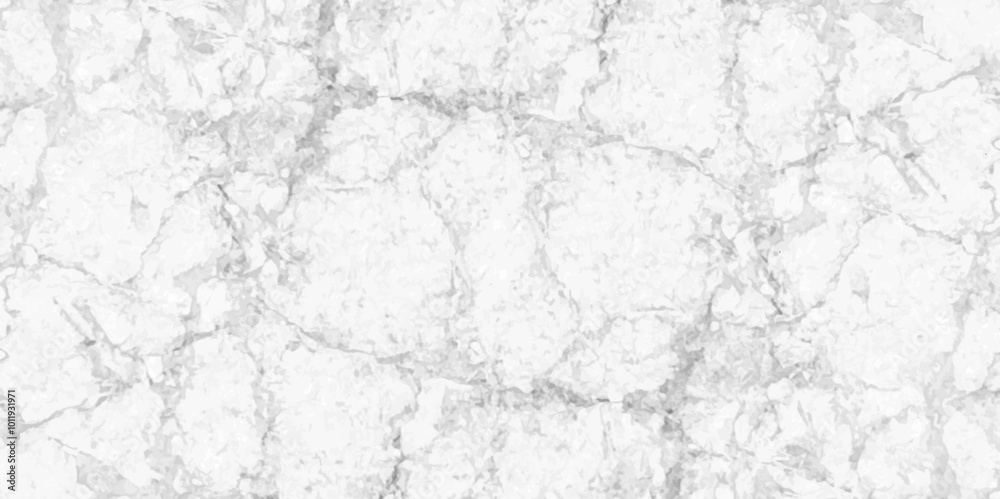 Fototapeta premium Abstract earth cracks texture on isolate vector background. Black and white old dirty texture. white and black cracks Transparent texture with vector marble pattern background.