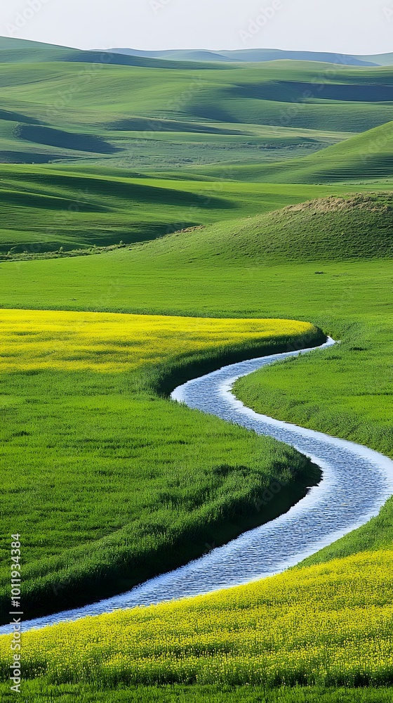 Colorful Flower Field with Road and River Running Through It, Minimalist Nature Landscape, Abstract Image, Texture, Pattern Background, Wallpaper, Cover and Screen for Smartphone, PC, Laptop, 9:16 and Colorful Flower Field with Road and River Running Through It, Minimalist Nature Landscape, Abstract Image, Texture, Pattern Background, Wallpaper, Cover and Screen for Smartphone, PC, Laptop, 9:16 and