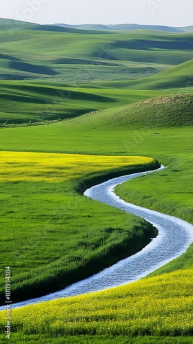 Colorful Flower Field with Road and River Running Through It, Minimalist Nature Landscape, Abstract Image, Texture, Pattern Background, Wallpaper, Cover and Screen for Smartphone, PC, Laptop, 9:16 and