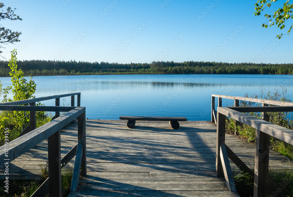 Naklejka premium Teirumnieku swamp nature trail , Latvia.