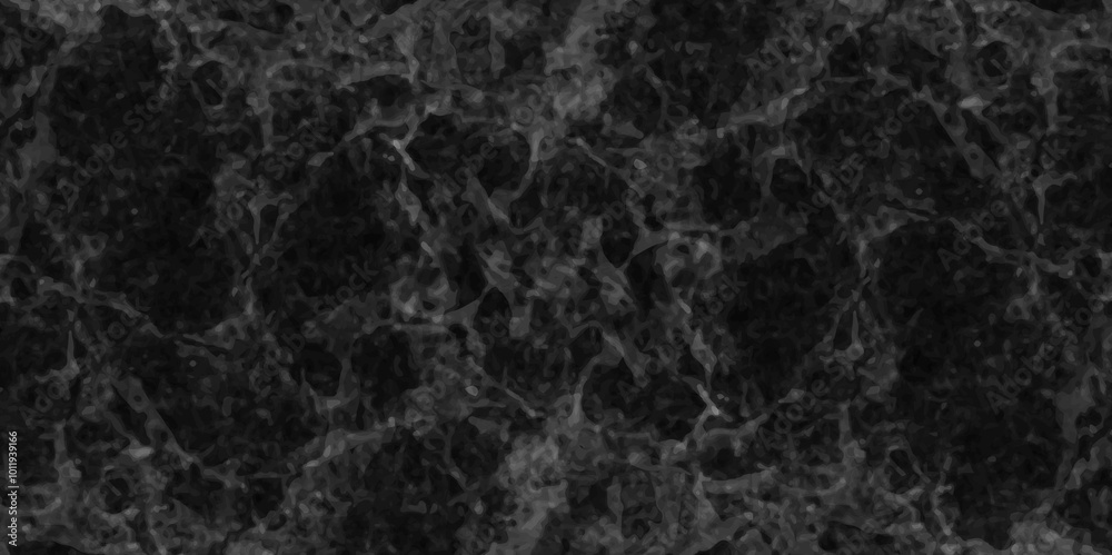 Abstract earth cracks texture on isolate vector background. Black and white old dirty texture. white and black cracks Transparent texture with vector marble pattern background.