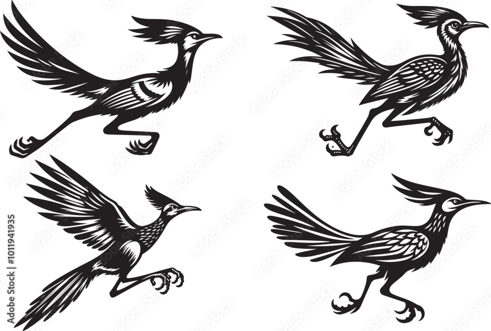 Obraz premium roadrunner vector illustration silhouette image icon