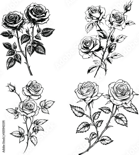 Set of rose flower greenery leaves line art isolated. Spring floral garden roses black logo wreath sketch plant. Vector illustration botanical stem.