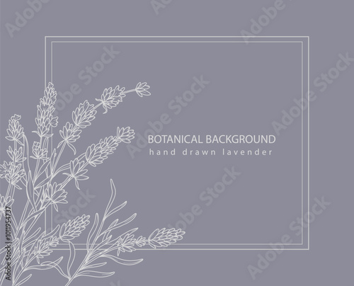 Lavender Line Art. Lavender Border Frame.  Botanical Background trendy minimalist lavender. Lavender banner template. Floral Line Art Illustration.
