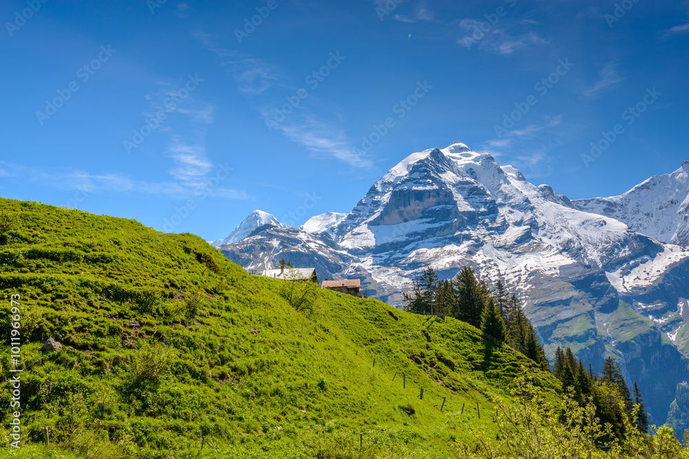 Obraz premium The Swiss Alps at Murren, Switzerland. Jungfrau Region. The valley of Lauterbrunnen from Interlaken.
