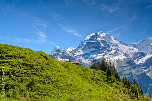 Wallpaper Mural The Swiss Alps at Murren, Switzerland. Jungfrau Region. The valley of Lauterbrunnen from Interlaken. Torontodigital.ca