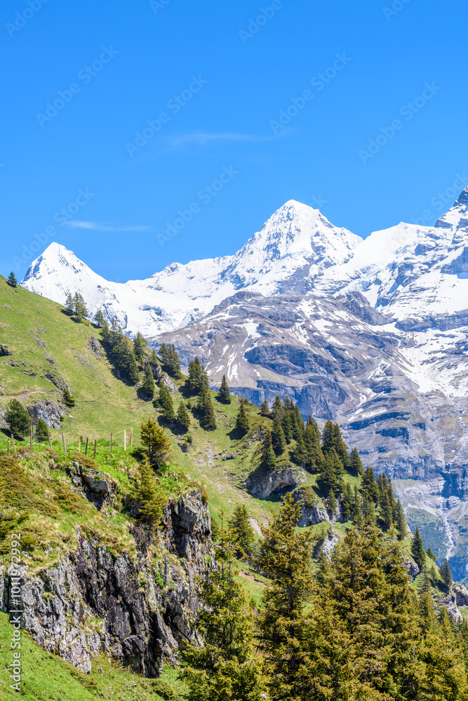 Obraz premium The Swiss Alps at Murren, Switzerland. Jungfrau Region. The valley of Lauterbrunnen from Interlaken.