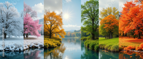 Seasons changing through colorful landscape transformations photo