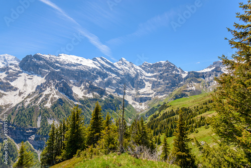 The Swiss Alps at Murren, Switzerland. Jungfrau Region. The valley of Lauterbrunnen from Interlaken.