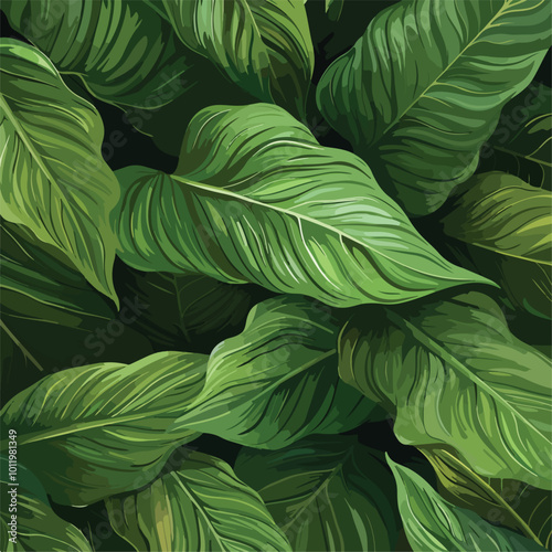 leaves of Spathiphyllum cannifolium, abstract green texture