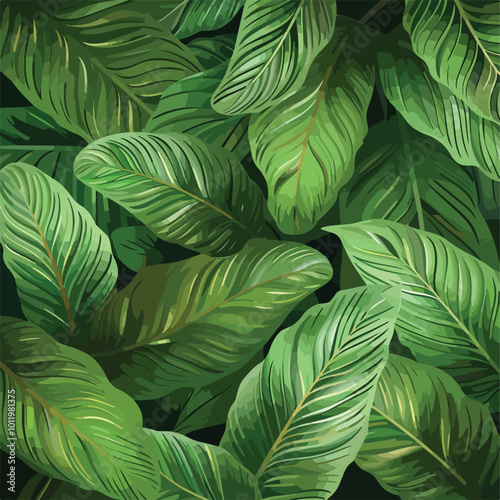 leaves of Spathiphyllum cannifolium, abstract green texture