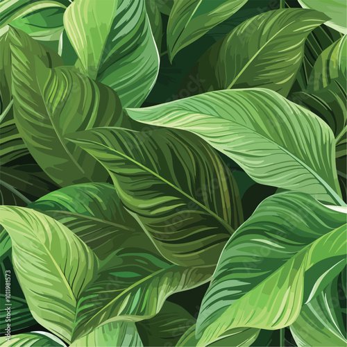 leaves of Spathiphyllum cannifolium, abstract green texture