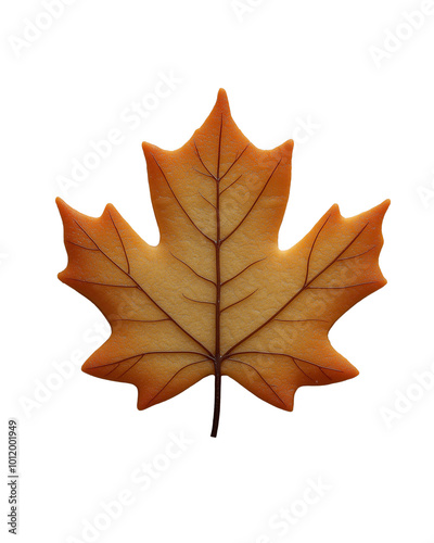 a maple leaf bade by cookie isolated on transparent background photo