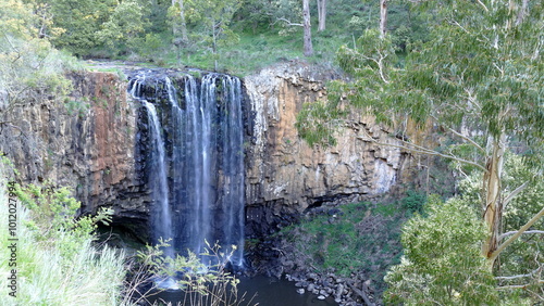 Fototapeta Naklejka Na Ścianę i Meble -  waterfall in the forest