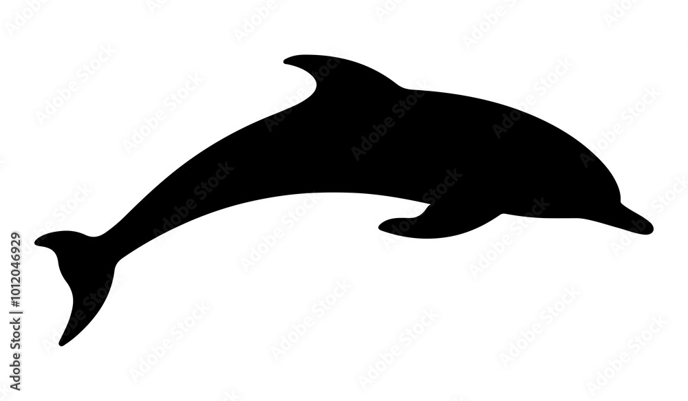 Fototapeta premium PNG Jumping dolphin silhouette animal mammal.