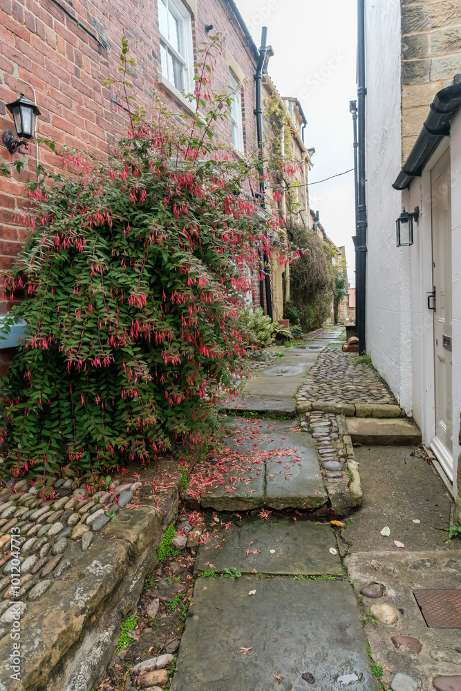 Naklejka premium Narrow alley between the houses