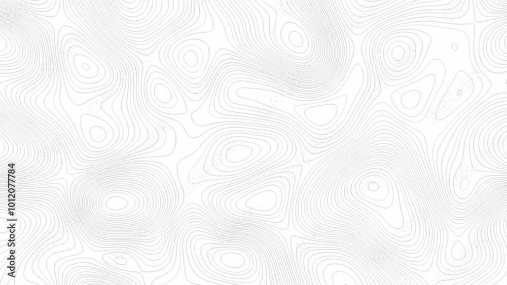 Abstract Topographic contour lines map pattern.