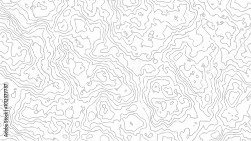 Topographic map background. Geographic abstract patterns grid. The topo contour map with stylized height. 