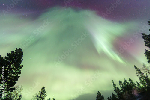 Aurora Borealis, Norhtern Lights above the trees in the Norwegian forest around the arctic circle, KP6 or KP7 solar storm. Green and red colors. Colorful aurora. photo